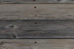 Natural wood grain patterns and textures on weathered planks in soft daylight captured outdoors photo