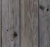 Rustic wooden planks in a serene setting, showcasing natural grain and texture under soft lighting photo