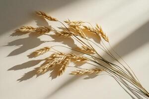 Black and white shadow of a delicate leaf branch on textured surface during soft lighting photo