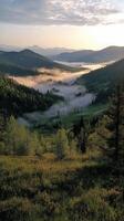 Morning mist envelops a lush valley, showcasing rolling hills and serene landscape at dawn photo