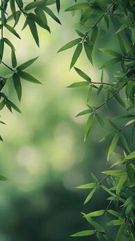 Lush green bamboo leaves frame a blurred background in a serene natural setting during daylight photo