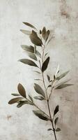 Elegant green leaves against a textured beige wall in a soft natural light setting photo