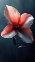 A striking red flower with intricate textures emerging from dark surroundings in a close up view photo