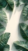 Lush green tropical leaves arranged neatly on a light background in a modern setting photo