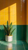 Indoor plant in a stylish pot with green tiles and natural light illuminating the space photo
