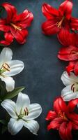 Beautiful arrangement of red and white lilies on a dark background creating a floral frame photo