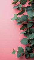 Colorful eucalyptus branches arranged on a pink background create a vibrant and serene composition photo