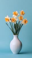 Bright yellow daffodils arranged in a white vase against a blue background in a bright setting photo