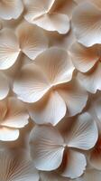 Cream flowers artfully arranged on a soft surface, evoking springs serene beauty photo