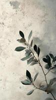 Elegant green leaves against a textured beige wall in a soft natural light setting photo