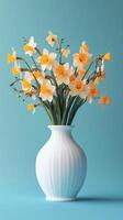 Bright yellow daffodils arranged in a white vase against a blue background in a bright setting photo