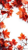 Vibrant orange maple leaves glowing under soft sunlight in autumn photo