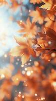 Golden autumn leaves glisten in sunlight filtering through trees at a serene park during fall photo