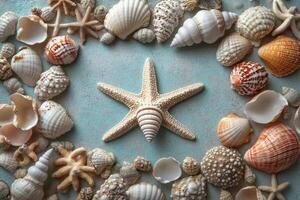 Delicate arrangement of various seashells and starfish on a light blue textured background photo