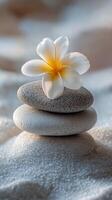 Delicate white flower placed on stacked pebbles resting on soft sand during a tranquil day photo
