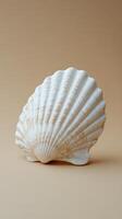 A detailed view of a white scallop shell on a soft neutral background photo