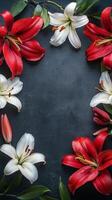 Beautiful arrangement of red and white lilies on a dark background creating a floral frame photo