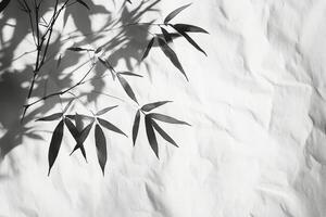 Subtle shadows cast by bamboo leaves on textured white paper in natural light photo