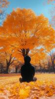 A person walking under a vibrant orange tree in a park surrounded by fallen leaves during autumn photo