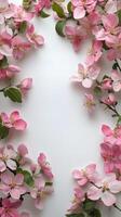 Delicate pink blossoms frame a blank space for text on a bright spring day photo