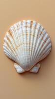 A detailed view of a white scallop shell on a soft neutral background photo
