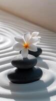 Delicate white flower placed on stacked pebbles resting on soft sand during a tranquil day photo
