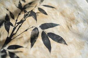 Subtle shadows cast by bamboo leaves on textured white paper in natural light photo