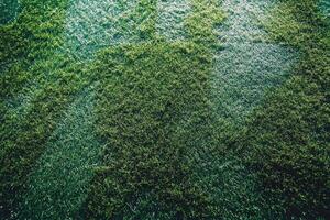 Lush green artificial turf covering a sports field under bright daylight in urban setting photo