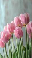 Delicate pink tulips in bloom with lush green leaves in a serene indoor setting during springtime photo