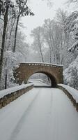 Snow covered bridge in winter forest with fresh snowfall and serene atmosphere photo