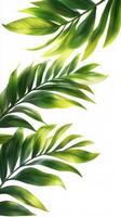 Lush green leaves gracefully cascading against a clean white background in bright daylight photo