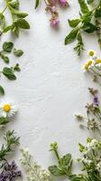 Herbs and flowers arranged around a tiled surface in a light kitchen setting photo