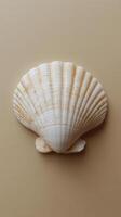 A detailed view of a white scallop shell on a soft neutral background photo