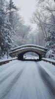 Snow covered bridge in winter forest with fresh snowfall and serene atmosphere photo