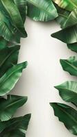 Lush green tropical leaves arranged neatly on a light background in a modern setting photo