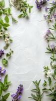 Herbs and flowers arranged around a tiled surface in a light kitchen setting photo
