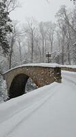 Snow covered bridge in winter forest with fresh snowfall and serene atmosphere photo