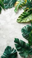 Lush green tropical leaves arranged neatly on a light background in a modern setting photo