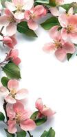 Delicate pink blossoms frame a blank space for text on a bright spring day photo