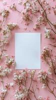Beautiful cherry blossom branch with delicate pink flowers against a soft pink background photo