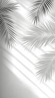 Soft shadows of palm leaves create a serene atmosphere in a sunlit indoor space photo