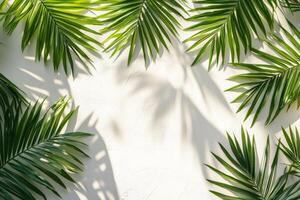 A woven straw hat hanging against a sunny wall with shadows from a palm plant in daylight photo