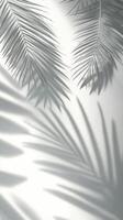Soft shadows of palm leaves create a serene atmosphere in a sunlit indoor space photo
