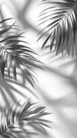 Soft shadows of palm leaves create a serene atmosphere in a sunlit indoor space photo