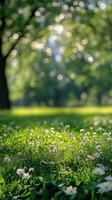 Lush green grass under sunlight in a serene park during the afternoon photo