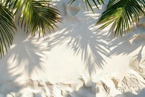 A woven straw hat hanging against a sunny wall with shadows from a palm plant in daylight photo