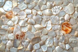 Natural seashells arranged artistically on a smooth surface creating a serene coastal atmosphere photo