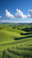 Lush green hills and rolling fields under a bright blue sky in a vibrant countryside landscape photo