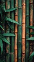 Detailed view of bamboo stalks in a natural setting during daylight hours photo