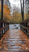 Serene wooden bridge over a stream surrounded by autumn foliage in a tranquil forest photo